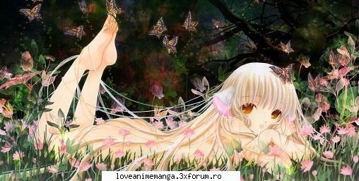 next galerii